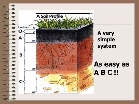 Soil Profile