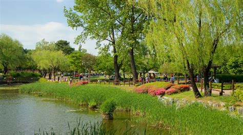 Visit Yongsan Park in Seoul | Expedia