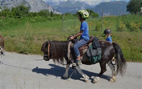 Passeggiata Con Il Pony Nella Valle Dei Laghi In Trentino Oj Eventi