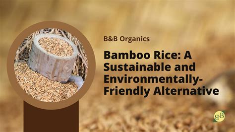 Bamboo Rice A Sustainable And Environmentally Friendly Alternative B