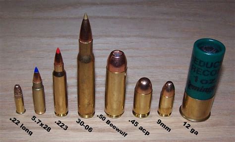 Left to right: .22, 5.7x28mm, .223, .30-06, .50 Beowulf, .45 ACP 9x19mm ...