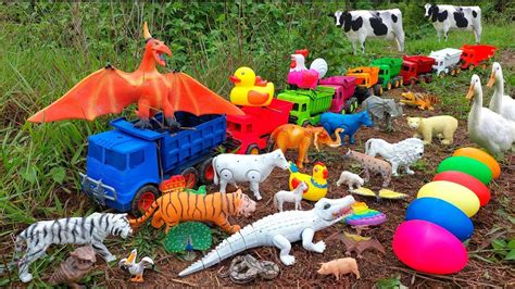 Woow Truk Oleng Angkut Dinosaur Pterodactyl Babi Sapi Lucu Buaya