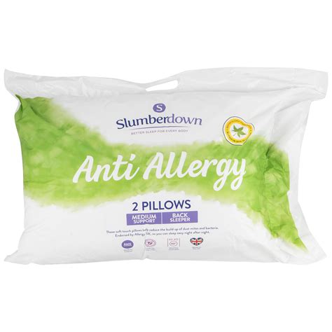 Anti Allergy Pillow Pair