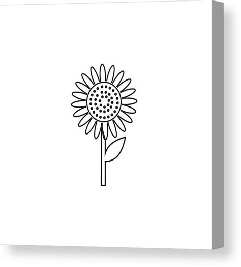 Sunflower Outline Vector at Vectorified.com | Collection of Sunflower ...