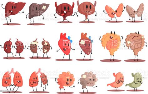 Human Internal Organs Healthy Vs Unhealthy Set Of Medical Anatomic