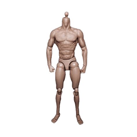 Symkmb Scale Narrow Shoulder Male Body Doll Action Figure For TTM TTM Hot Toys Human