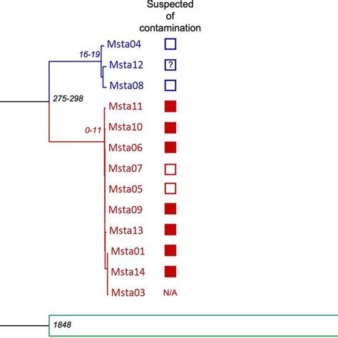 Neighbor Joining Tree Of Mrsa Isolates Based On Wgmlst The Horizontal