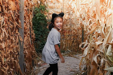 The 8 Best Corn Mazes In Tennessee