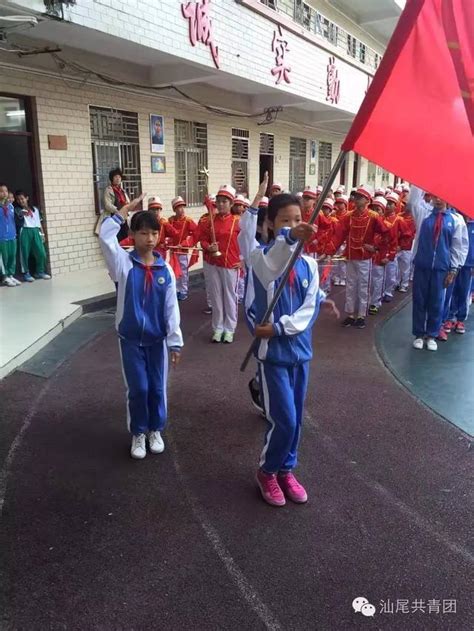 汕尾陸豐市東海鎮中心小學舉行 「紅領巾心向黨，紅色精神我傳承」 主題隊日活動 每日頭條