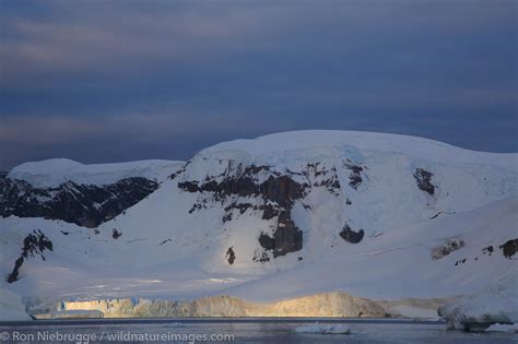 Danco Island Antarctica Photos By Ron Niebrugge