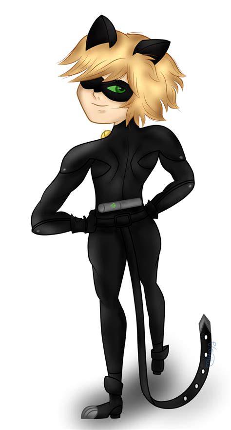 Miraculous Chat Noir By Violetta8123 On Deviantart