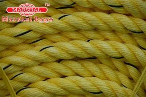 Yellow Mm Pp Danline Rope For Industrial Mm At Rs Kg In Dhoraji