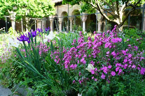 Medieval Cloister Garden