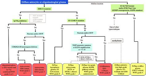 The Latest Diagnostic Algorithm For The Integrated Classification Of