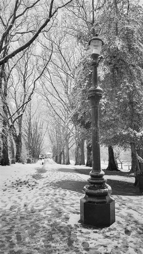 Snow Falling Around a Street Lamp · Free Stock Photo