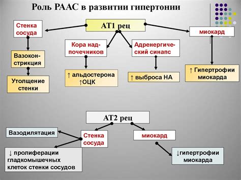 Гипотензивные (антигипертензивные) средства - презентация онлайн