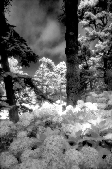 Miner Images—infrared