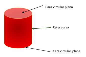 O Cilindro Tem Vértices - Vértices Del Cilindro