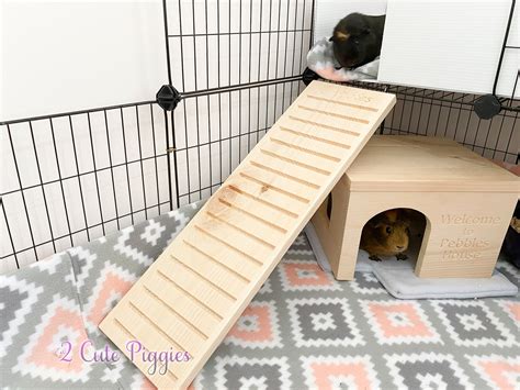 Personalized Guinea Pig Cage Ramp Small Pet Ramp Small | Etsy