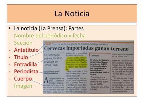 Estructura De Un Texto Informativo