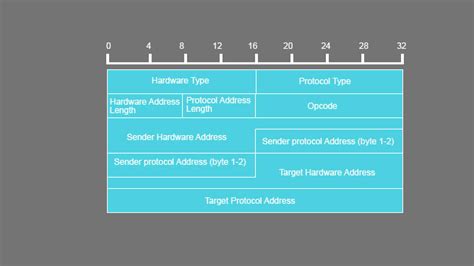 ARP Packet Format | Structure, Working & Components of ARP Packet