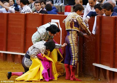 Spanish Matador Gored In Buttocks During Seville Bullfight Daily Mail