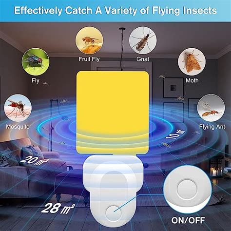 Insect Uvlight Mosquitoes Gluecard Flyinginsects Light Wave Uv