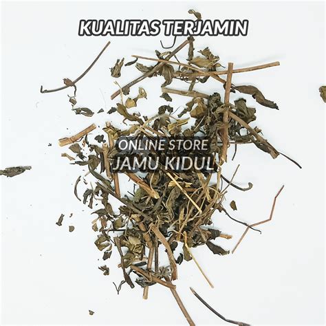 Jual Daun Kumis Kucing Kering 1kg Asli Hutan Lebih Berkhasiat