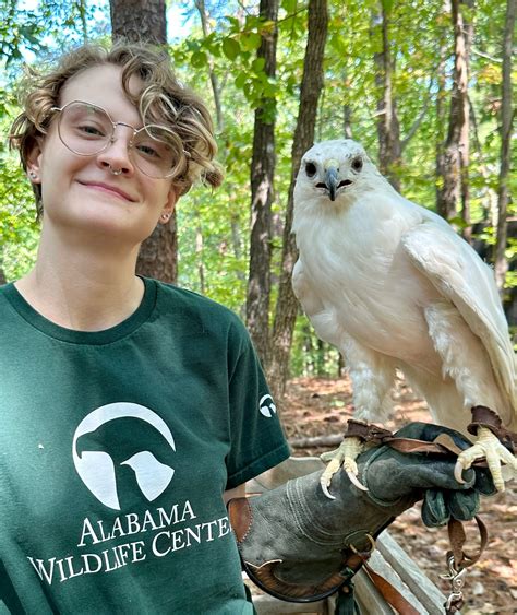 Our Staff Alabama Wildlife Center