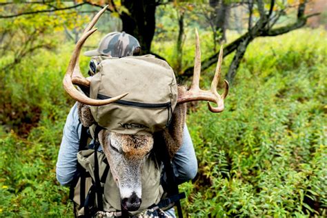 Public Land Whitetail Hunting Tips The 5 Things To Keep In Mind