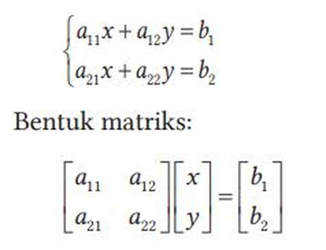 Mengenal Determinan Matriks Bab 3 Matematika Tingkat Lanjut Kelas XI