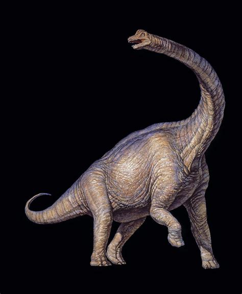 Brachiosaurus Dinosaur Photograph by Joe Tucciarone - Pixels