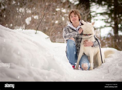 White Siberian Husky Stock Photo - Alamy