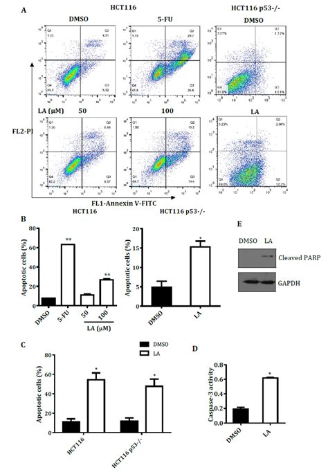 La Treatment Induces Apoptosis In Hct116 Cells A Hct116 And