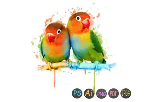 Watercolor Love Bird 3 Graphic by ayman_colors · Creative Fabrica