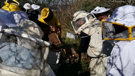 ARSAC Corso Di Apicoltura A Mormanno CS Prima Visita In Apiario