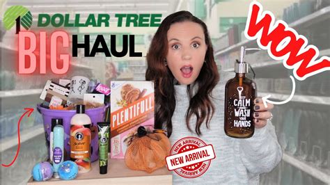 Big Dollar Tree Haul Astounding New Finds Wow Youtube