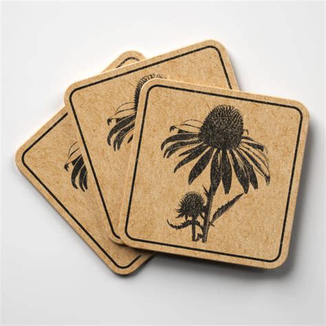 Coneflower Svg File For Cricut Silhouette Laser Machines Instant Download