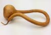 Large Long Curly Dipper Gourd Amish Gourds