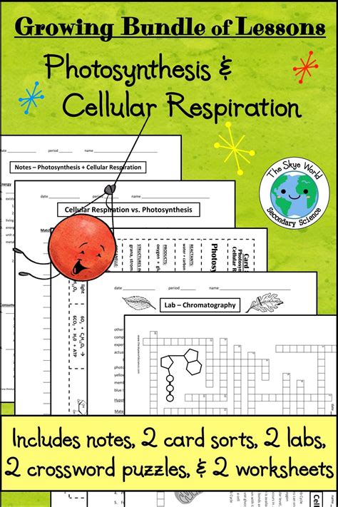 Cellular Respiration Steps Inputs And Outputs Blog Free Download Games