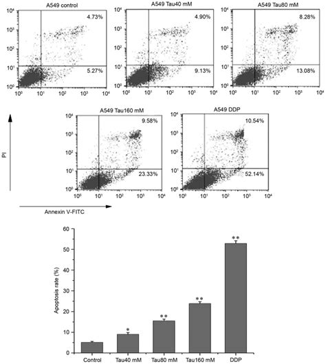 Effect Of Taurine On Cell Proliferation And Apoptosis Human Lung Cancer