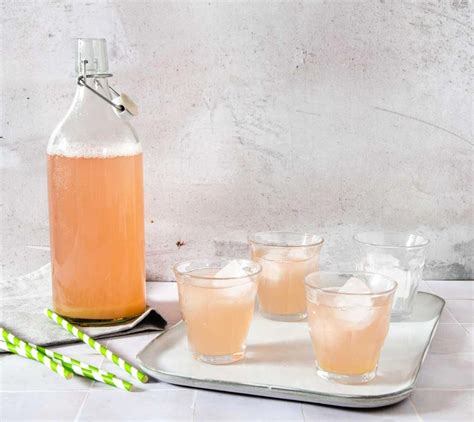 Limonade à la rhubarbe rafraîchissante et unique Tom le Jardinier