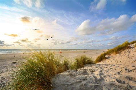 6 Best Beaches in Copenhagen - What is the Most Popular Beach in ...