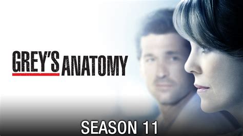 Watch Grey's Anatomy · Season 11 Full Episodes Online - Plex