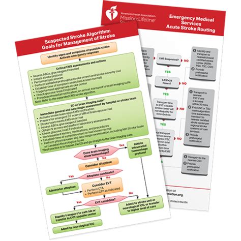 Suspected Stroke Algorithm And Emergency Medical Services Acute Stroke Routing Card Aha