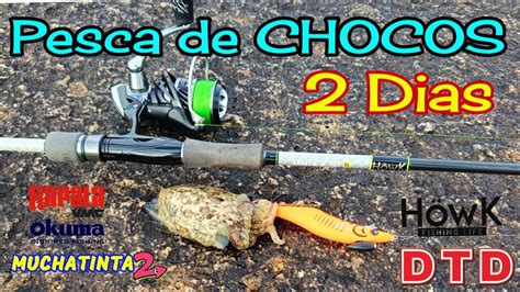 Dias De Pesca Con Okuma Y Howk Dtd Youtube