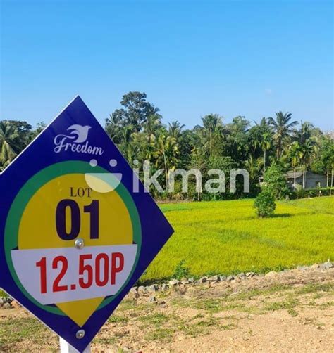 Land For Sale Bandaragama Ikman