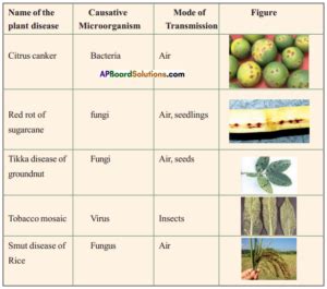 TS 8th Class Biology Project Work FA 1 2 3 4 English Medium AP Board