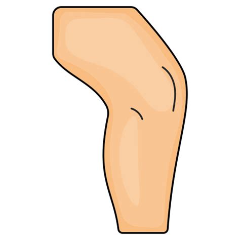 Knee Generic Thin Outline Color Icon