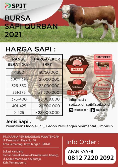 Harga Sapi Qurban Newstempo